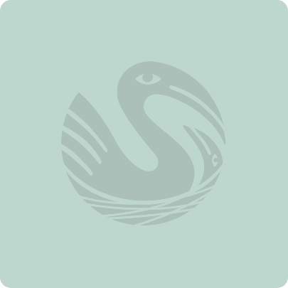 Icon of green bird.